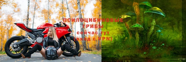 мяу мяу мука Алзамай